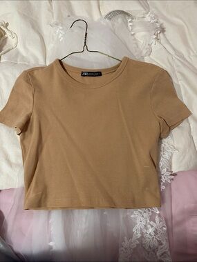 Zara Camel Short Sleeve Crop Top